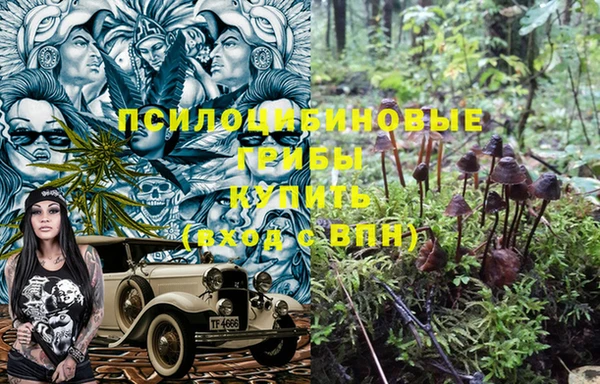 гашик Михайлов