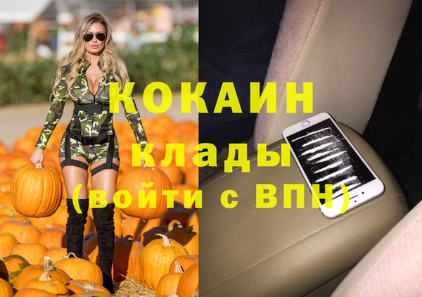 гашик Михайлов