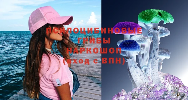 бутират Анжеро-Судженск