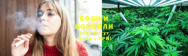 гашик Михайлов